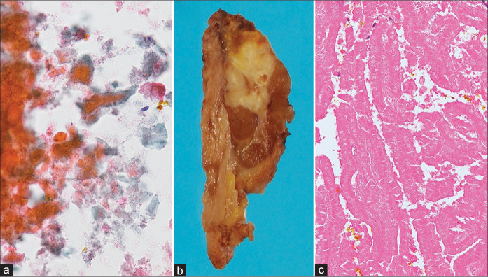 Figure 4: