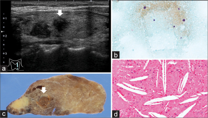 Figure 2: