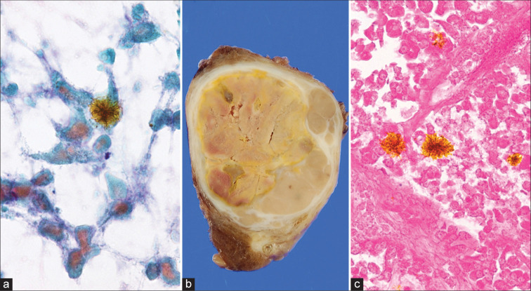 Figure 5: