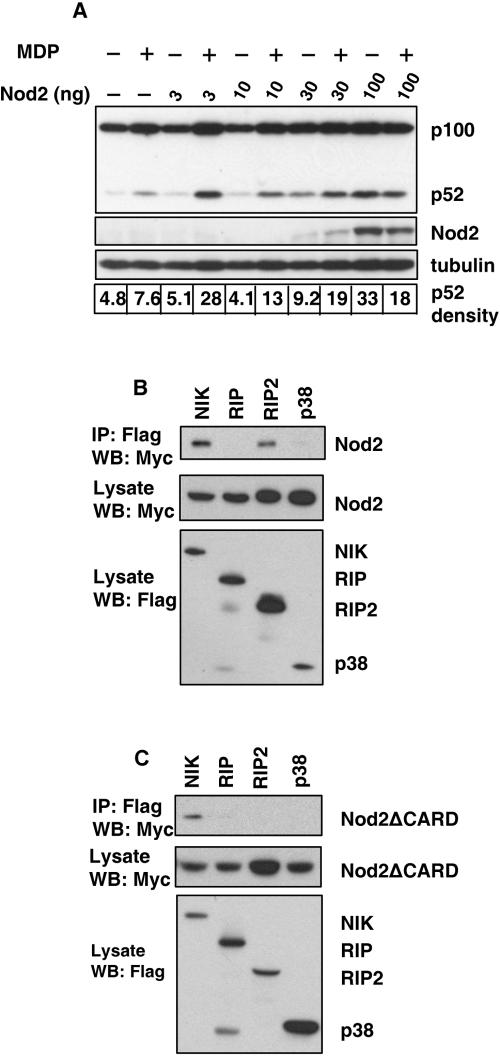 FIG. 1.