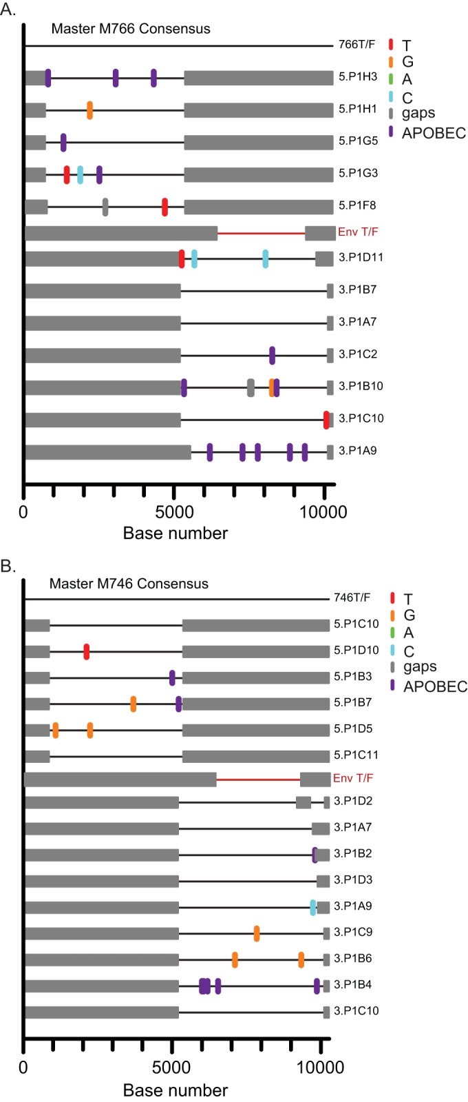 FIG 2