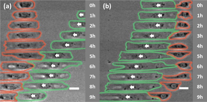 Fig. 3.