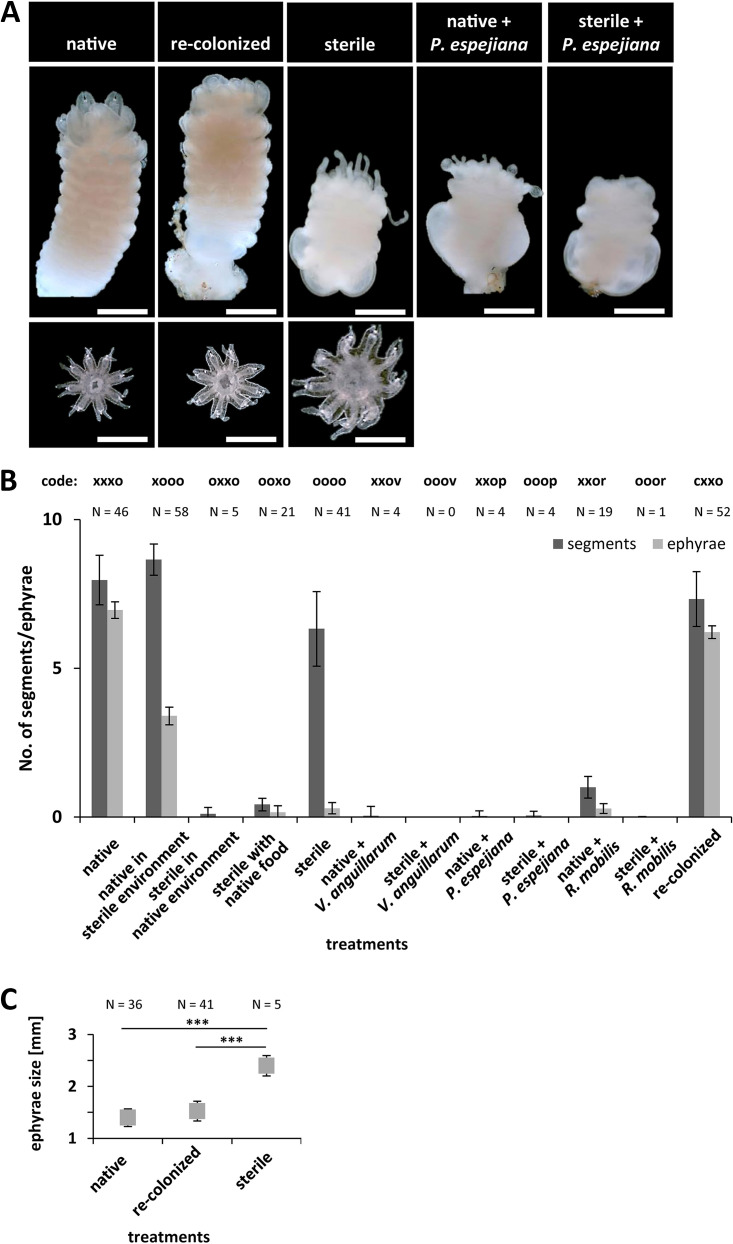 FIG 4