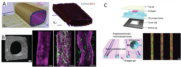 Figure 16