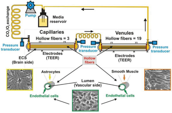 Figure 14