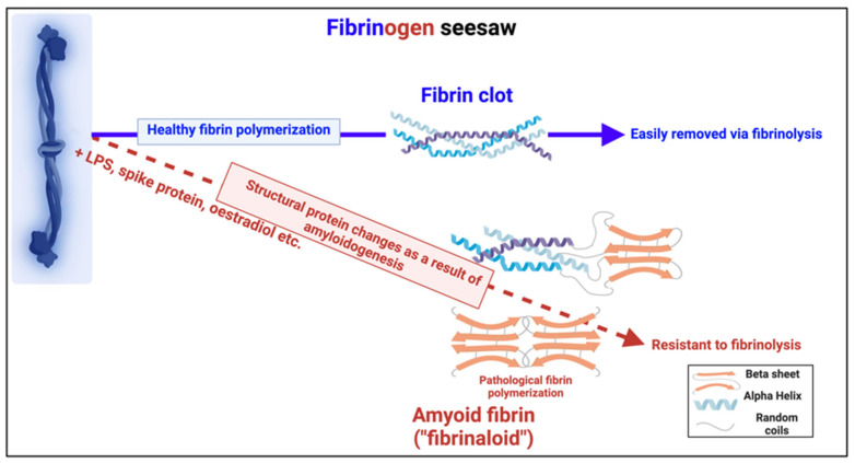 Figure 19