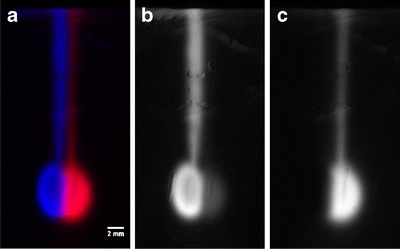 Fig. 3