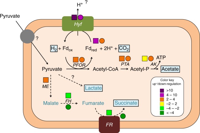 Fig. 7