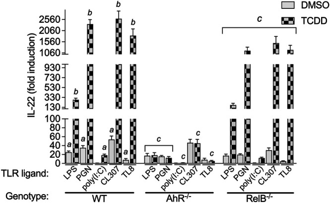 FIGURE 3