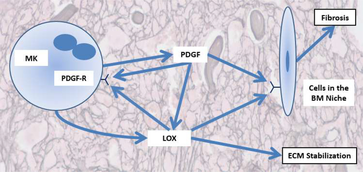 Figure 1: