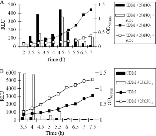 Fig. 3.