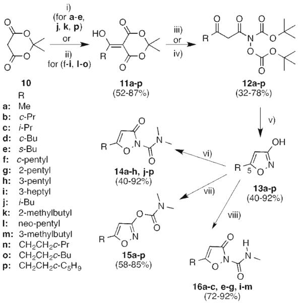 Scheme 1