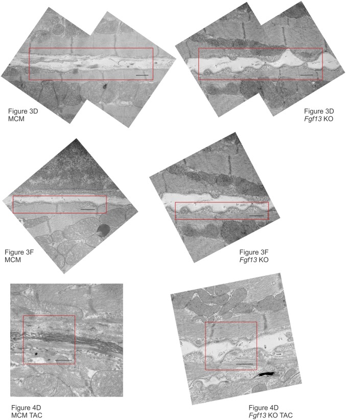 Fig. S7.