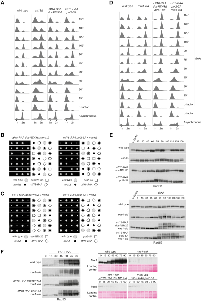 Figure 6.