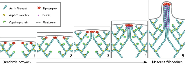 Figure 9.