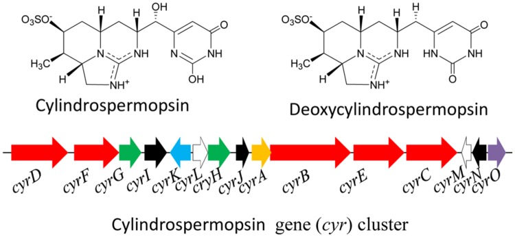 FIGURE 6