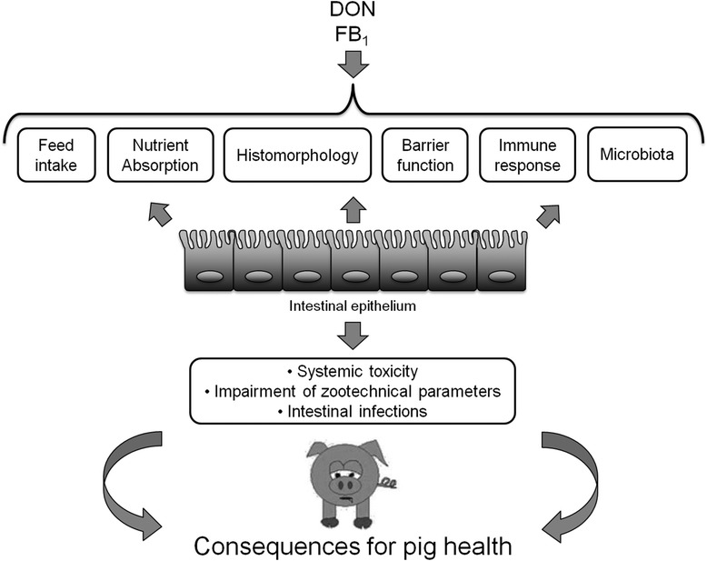 Fig. 2