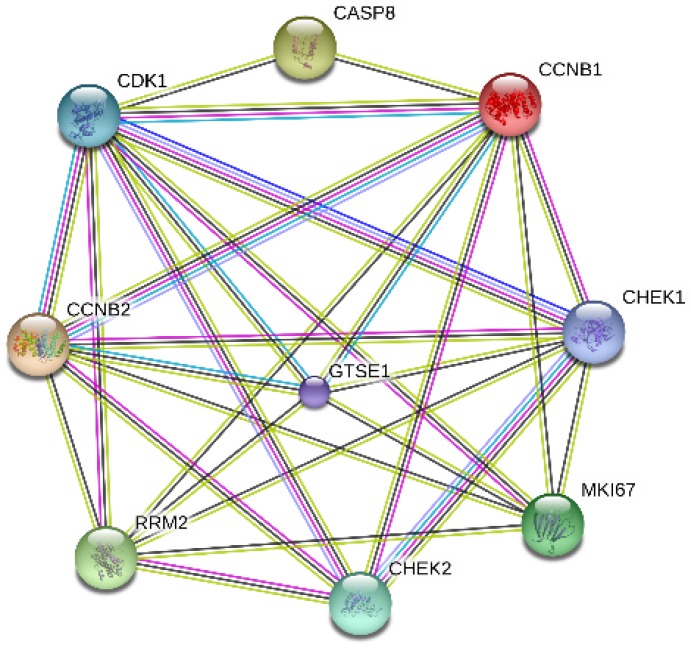 Fig 11