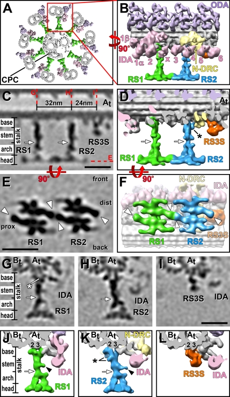 FIGURE 1: