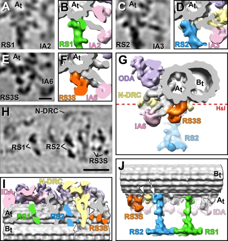 FIGURE 2: