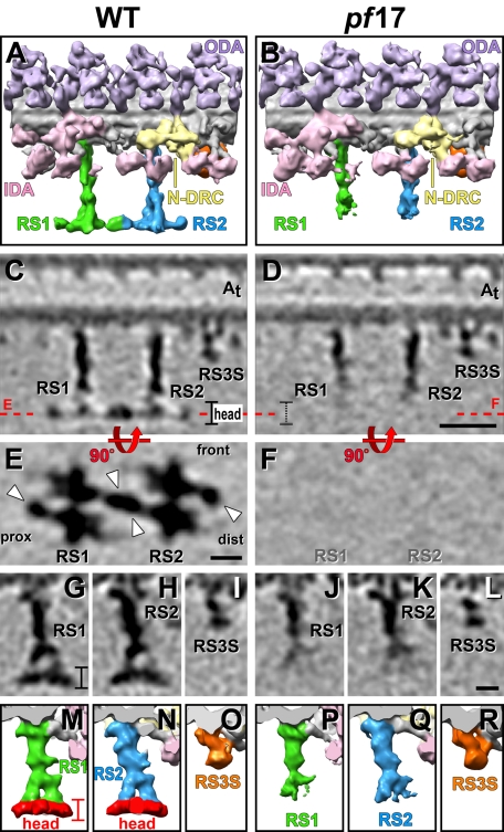 FIGURE 3: