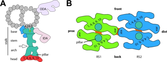 FIGURE 4: