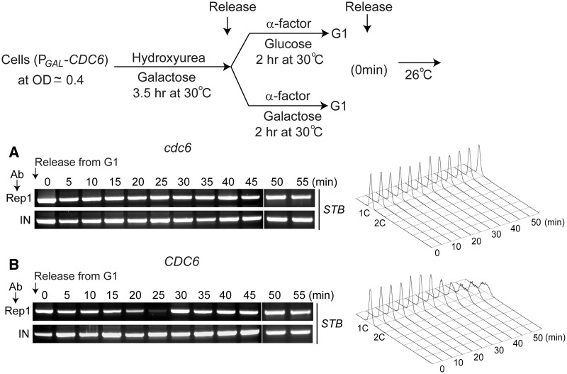 Figure 5.