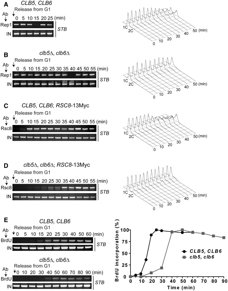 Figure 4.