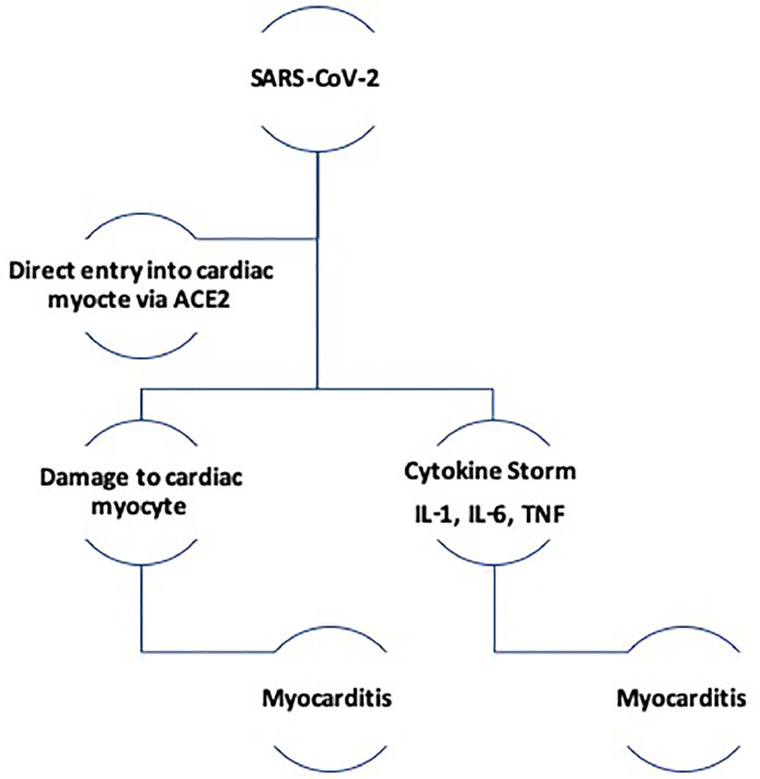 FIG 1