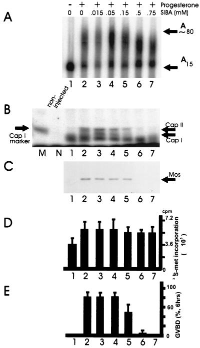 FIG. 5