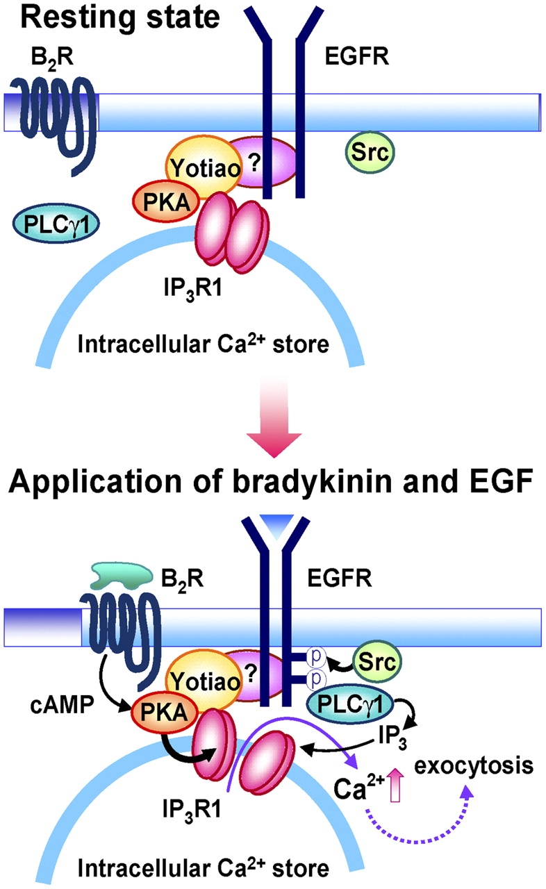 Figure 9.