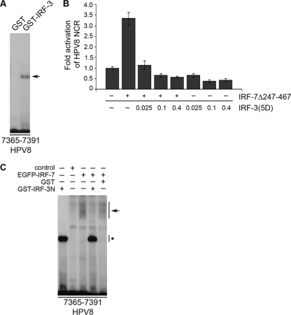 FIG. 6.