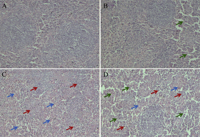 Fig. 3