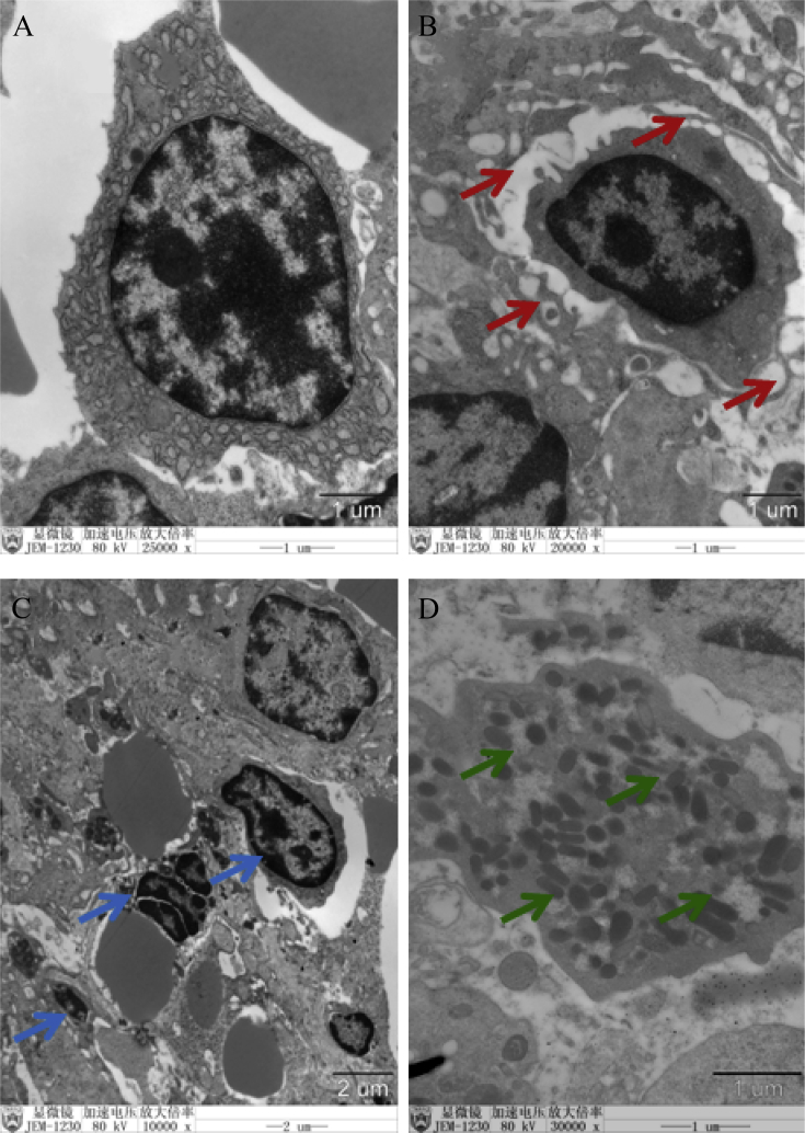 Fig. 4