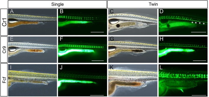 Figure 26