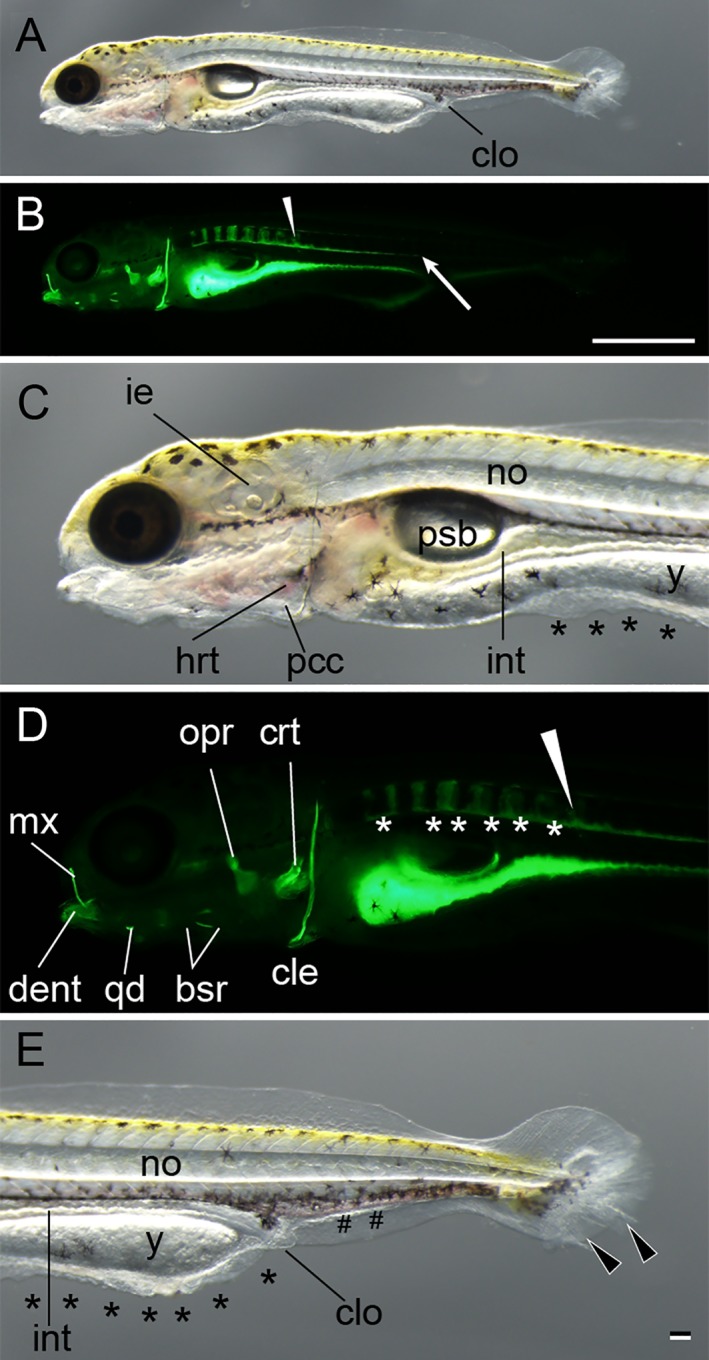 Figure 10