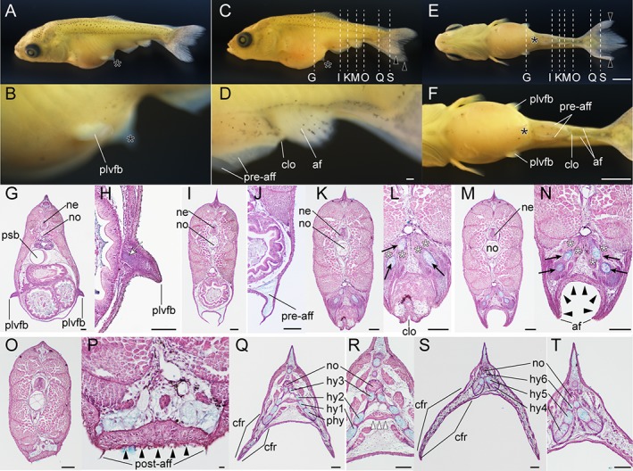 Figure 29