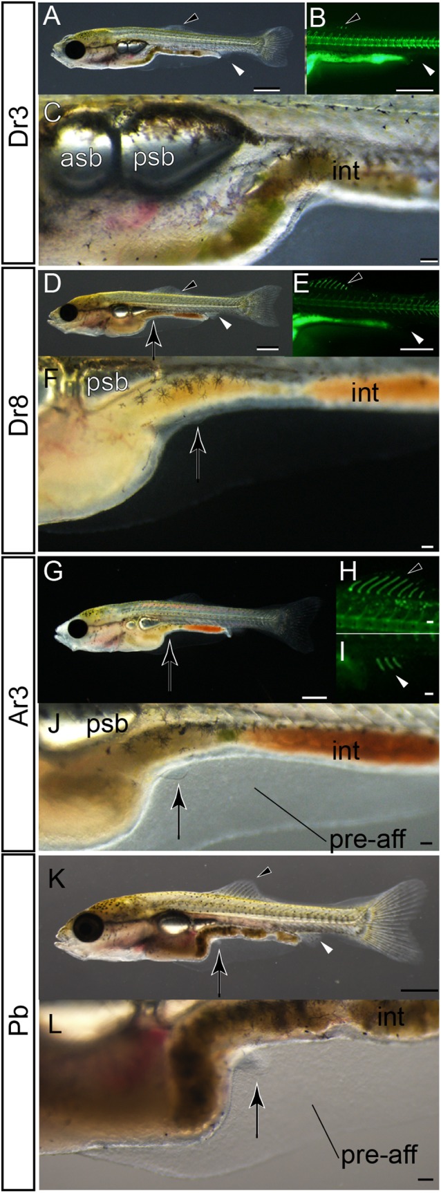 Figure 31