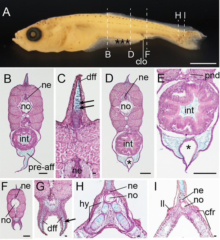 Figure 28