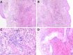 Fig. 3