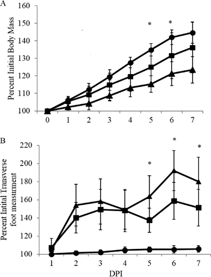 FIG 2