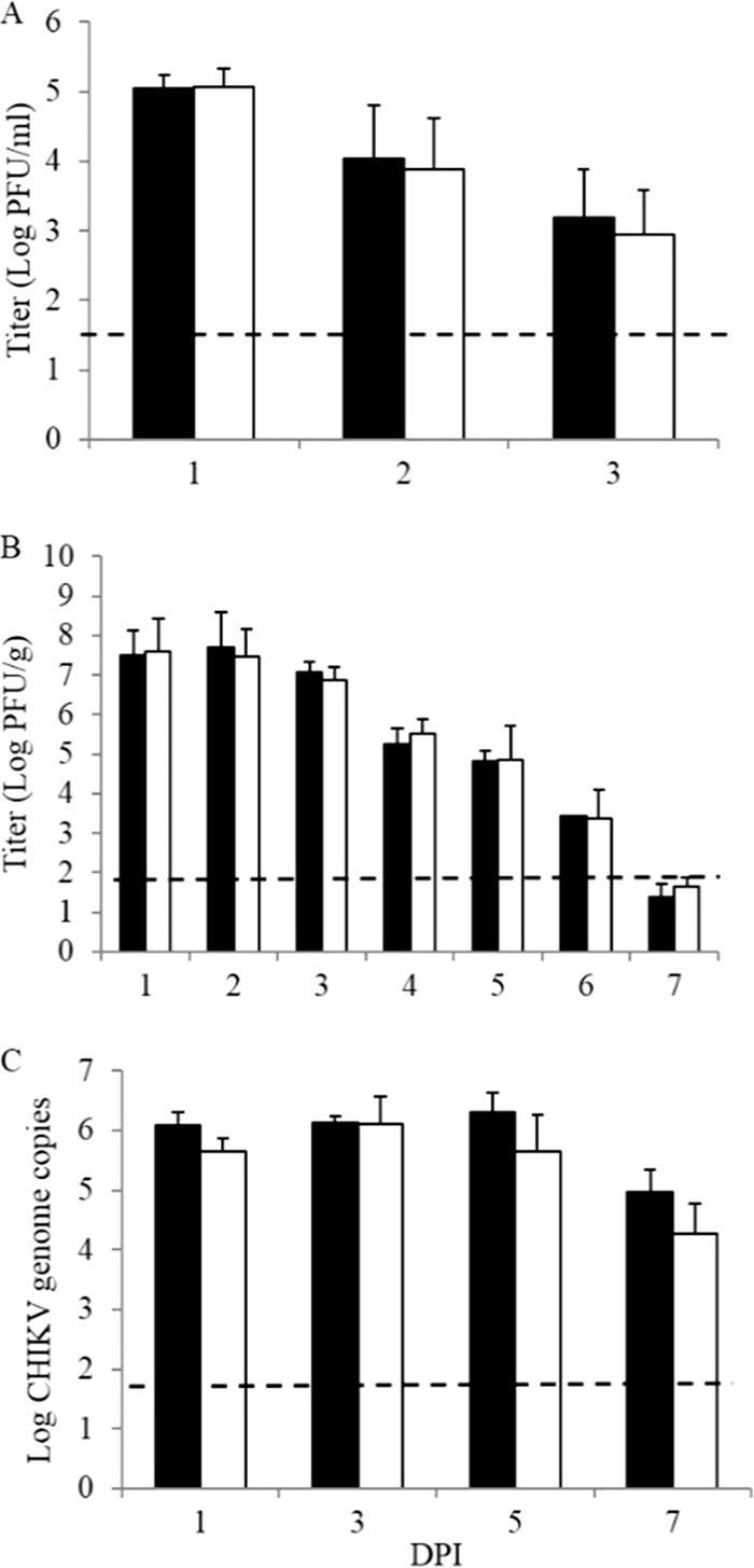 FIG 5