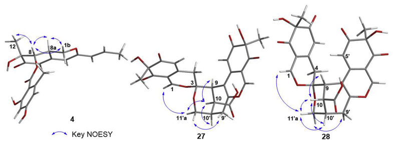 Figure 4