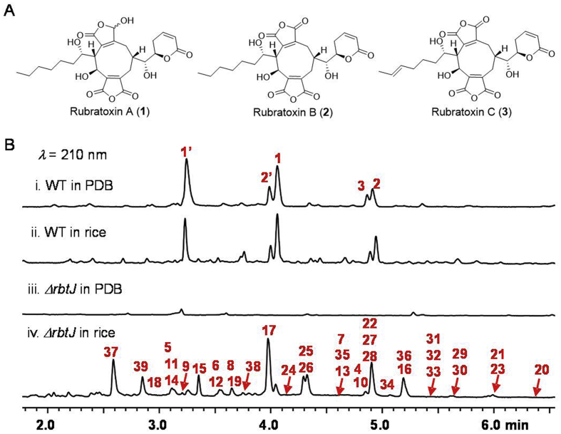 Figure 1