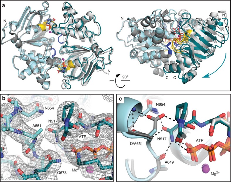 Figure 6