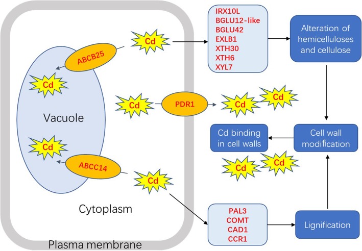 Fig. 6