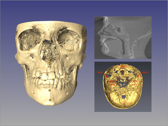 Fig. 6