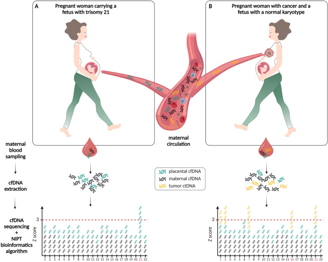 Figure 1: