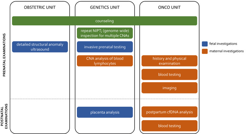 Figure 3: