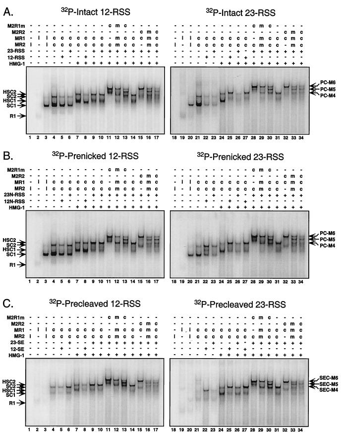 FIG. 2.